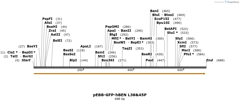 27994_map