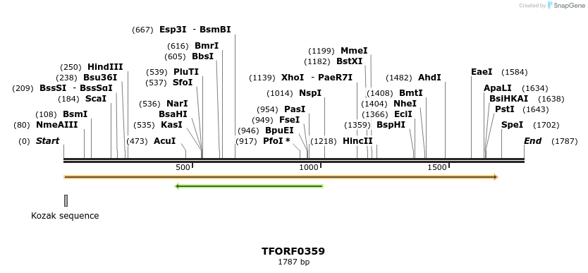 279944_map