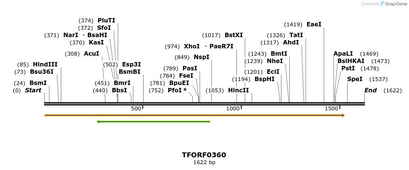 279947_map
