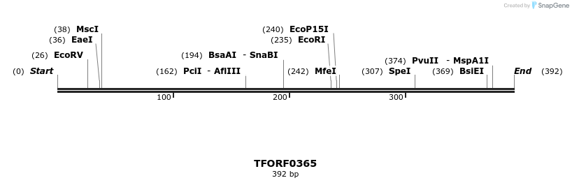 279953_map