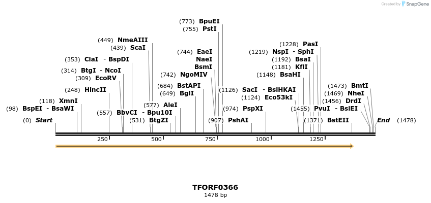 279956_map