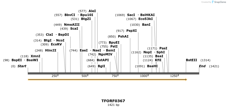 279959_map