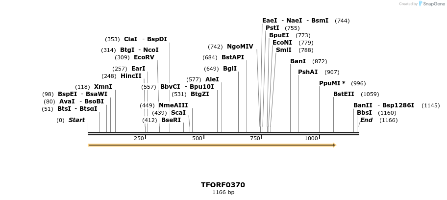 279962_map