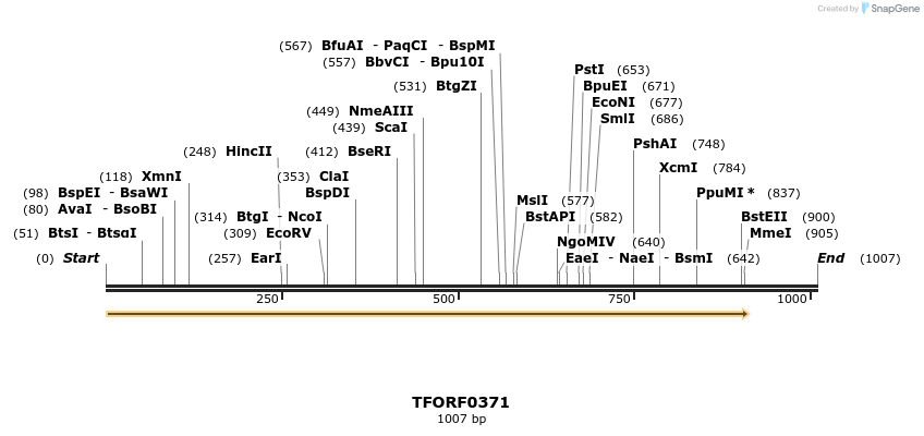 279965_map