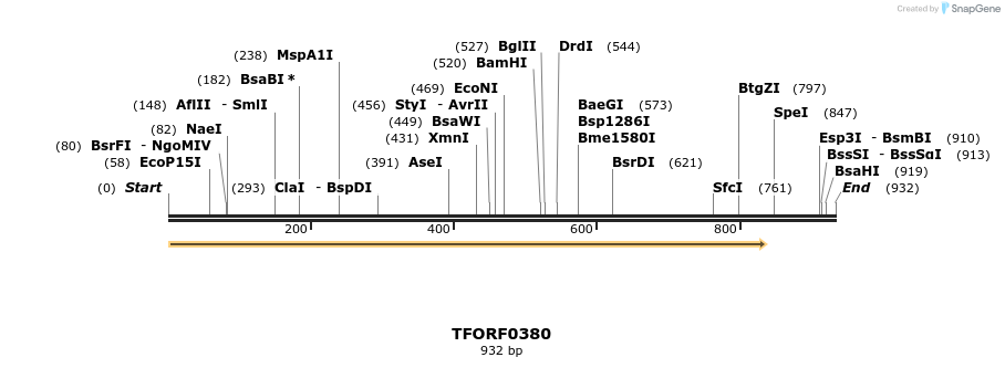 279968_map