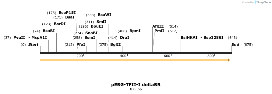 27997_map