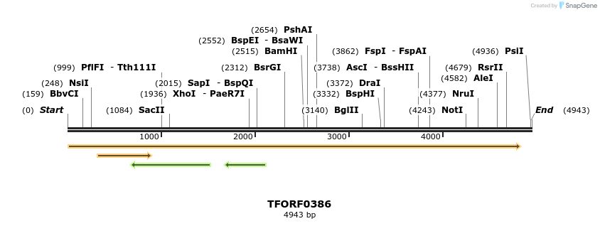 279971_map