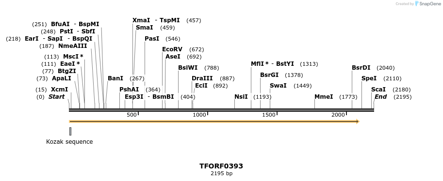 279974_map