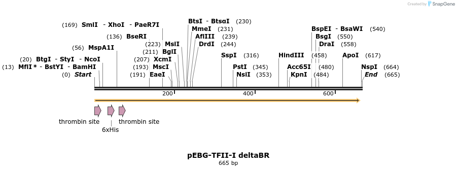 27998_map