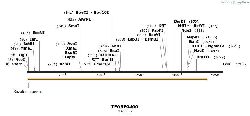 279980_map