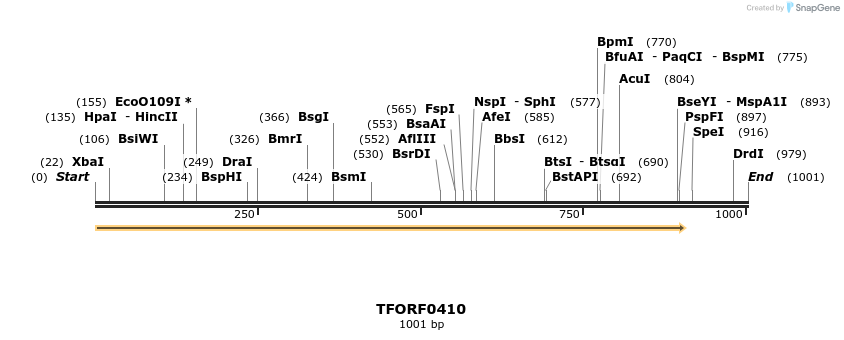 279986_map