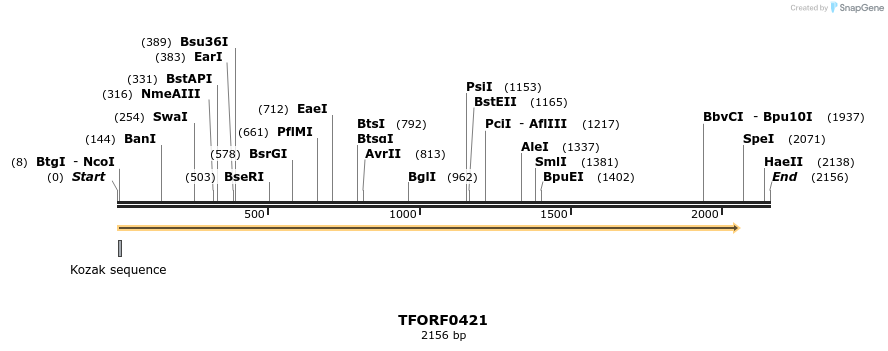 279995_map
