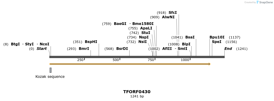280001_map