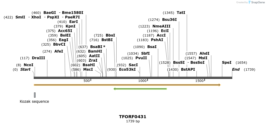 280004_map
