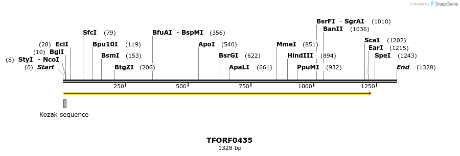 280007_map