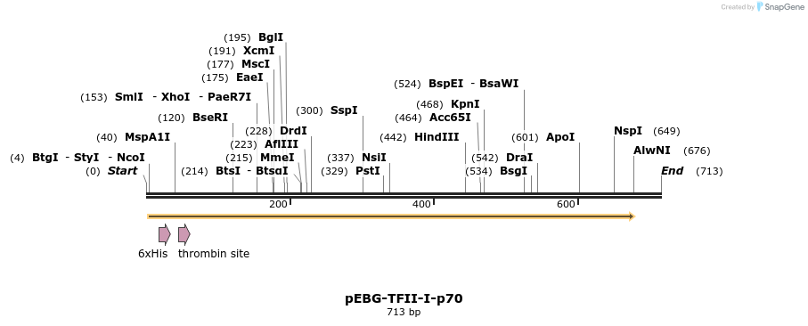 28001_map