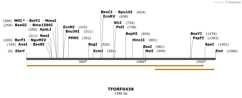 280010_map