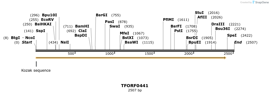 280016_map
