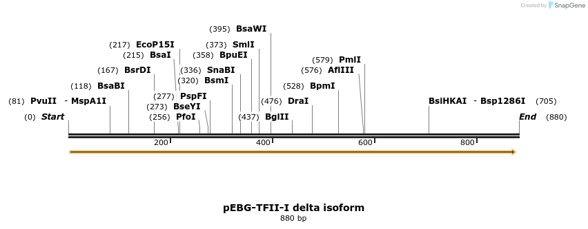 28002_map