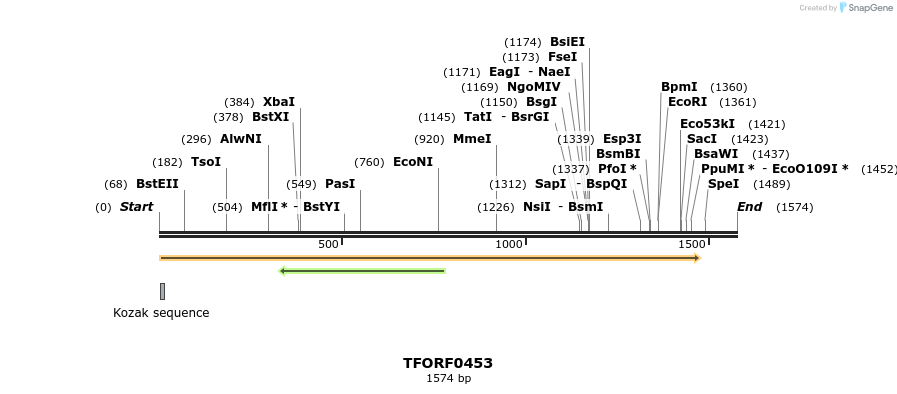 280022_map