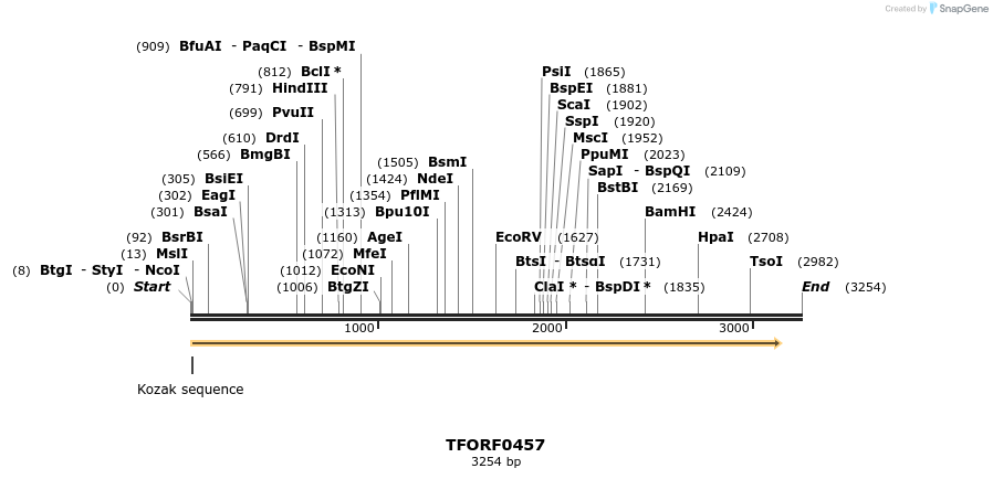 280025_map