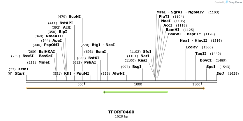 280031_map