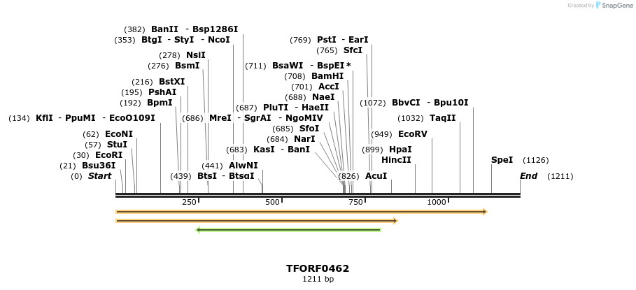280034_map