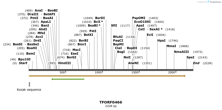 280040_map