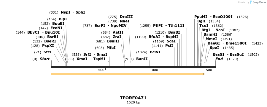 280043_map