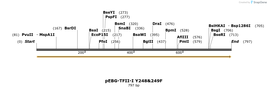 28005_map