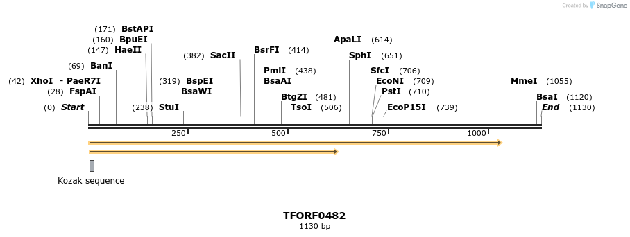 280055_map