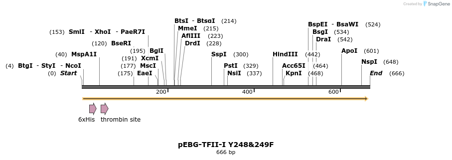 28006_map