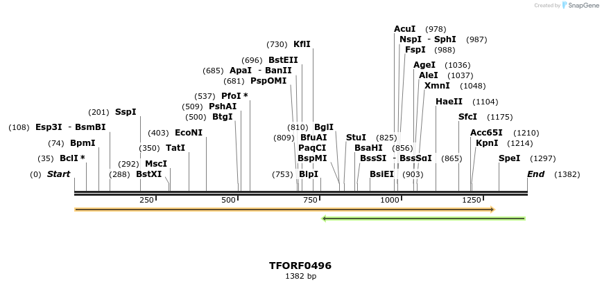 280064_map