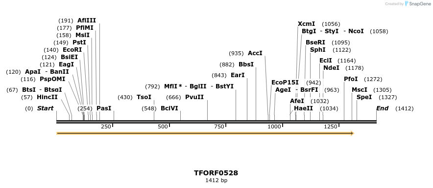 280067_map