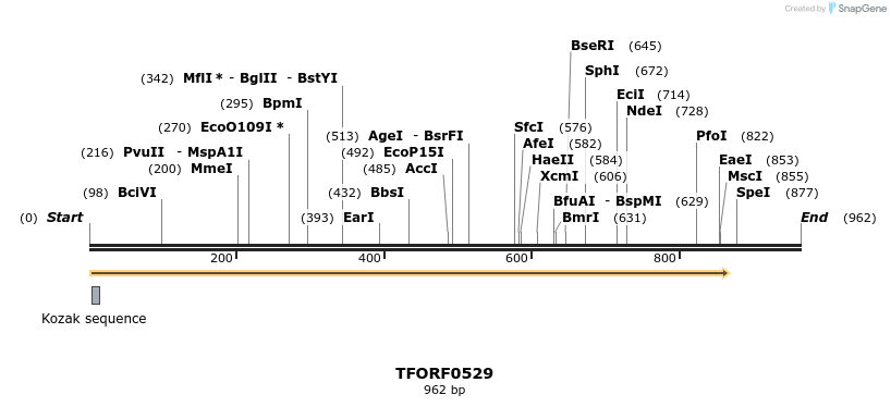 280070_map