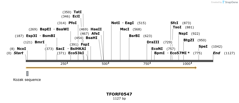 280073_map