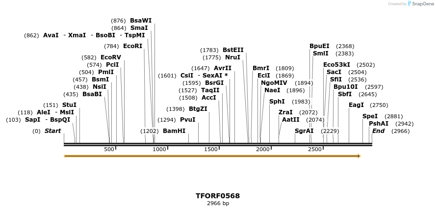 280079_map