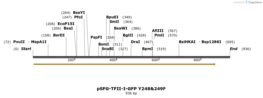 28008_map