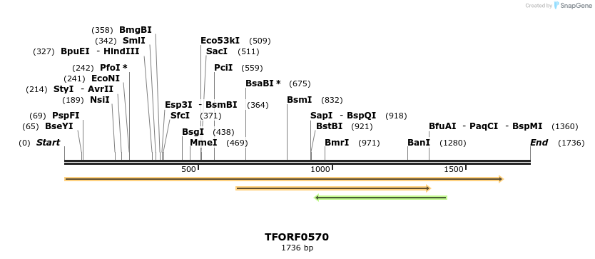 280082_map