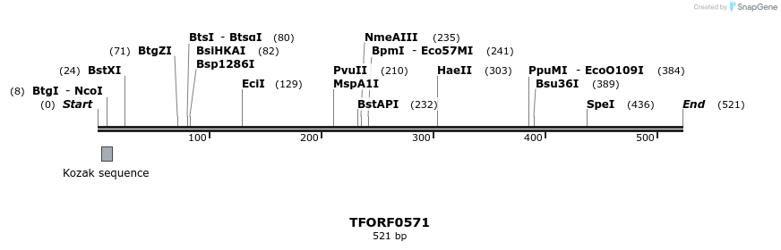 280085_map