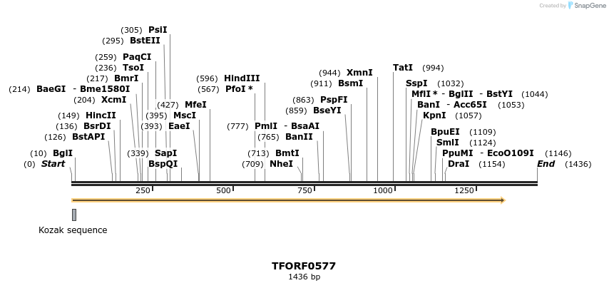 280088_map