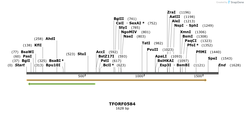 280091_map