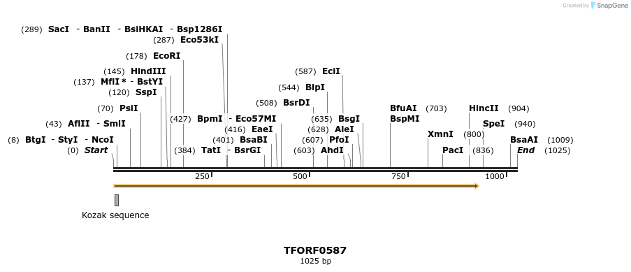 280094_map