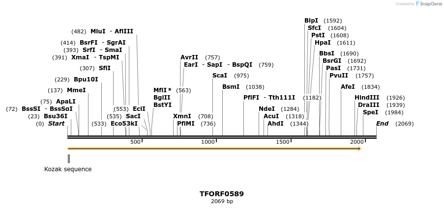 280097_map