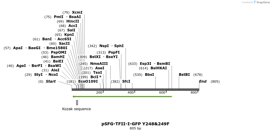 28010_map