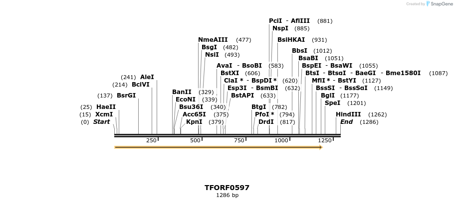 280103_map