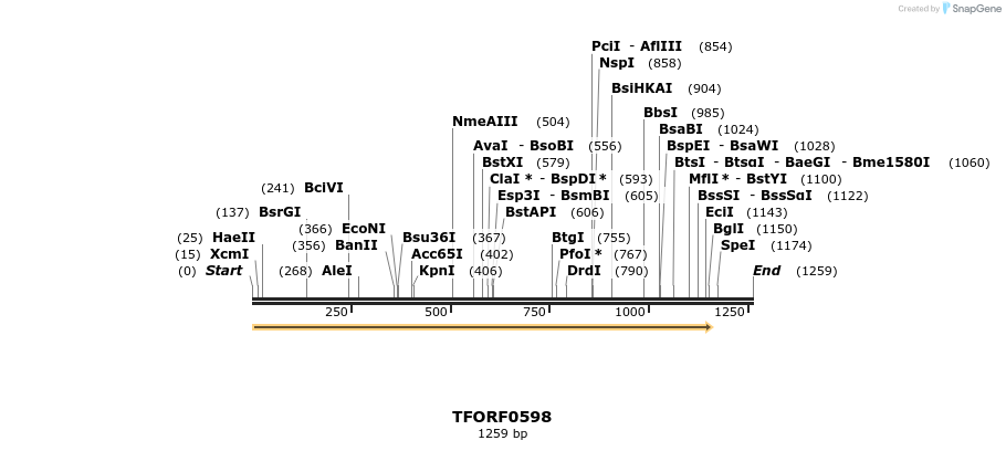280106_map