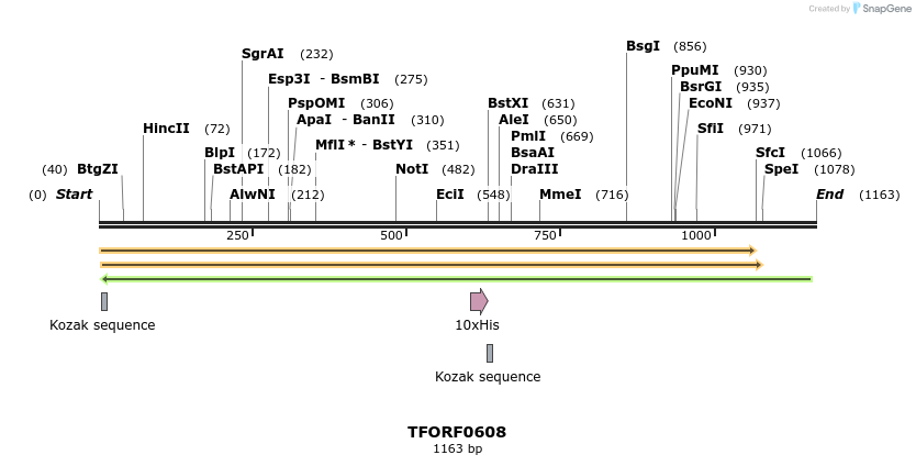 280115_map