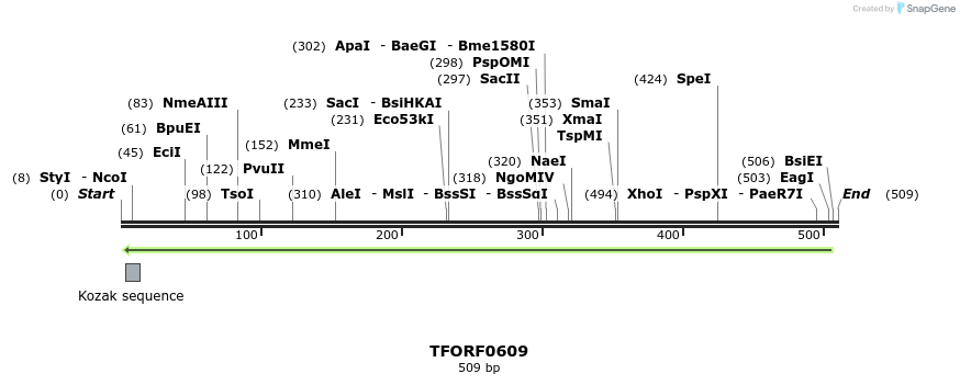 280118_map