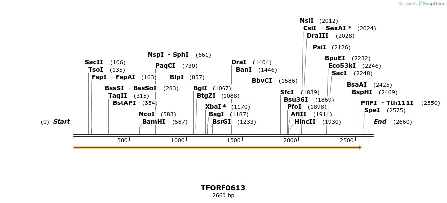 280121_map